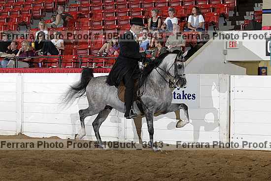 Proof Number 10buck_3943