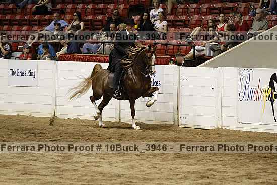 Proof Number 10buck_3946