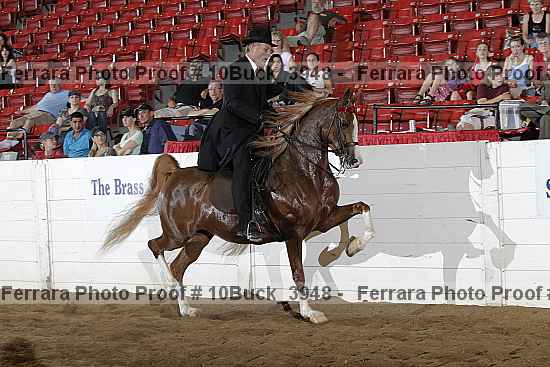 Proof Number 10buck_3948