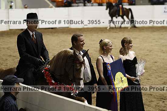 Proof Number 10buck_3955