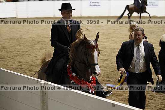 Proof Number 10buck_3959