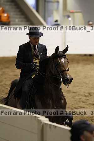 Proof Number 10buck_3961