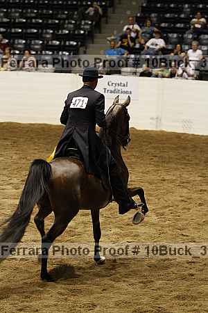 Proof Number 10buck_3965