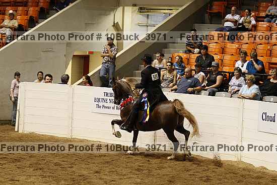 Proof Number 10buck_3971