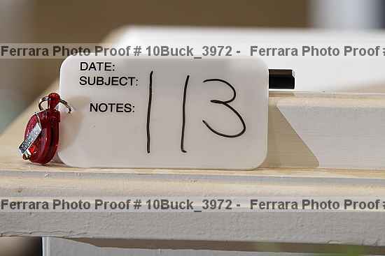 Proof Number 10buck_3972