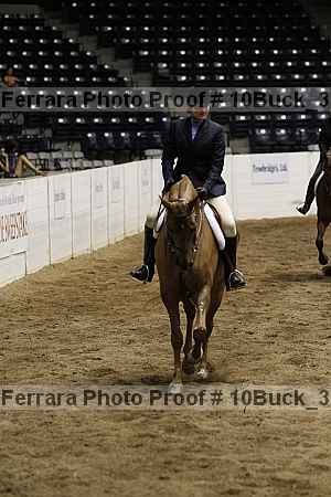 Proof Number 10buck_3980