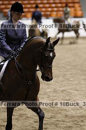 Proof Number 10buck_3990