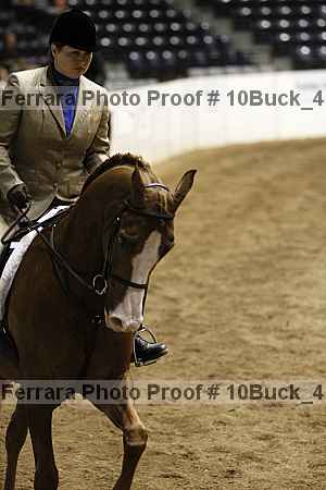 Proof Number 10buck_4005