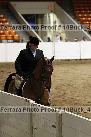 Proof Number 10buck_4018