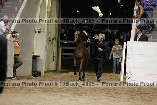 Proof Number 10buck_4095