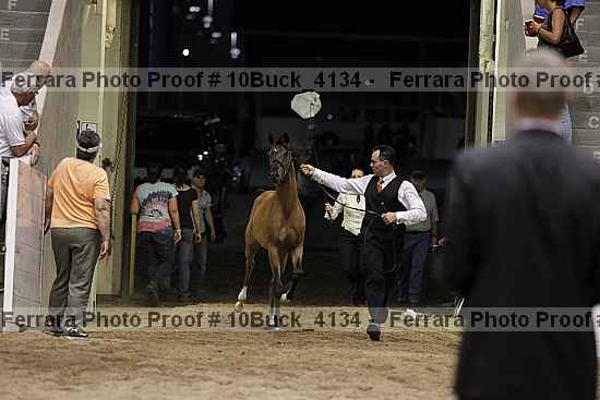 Proof Number 10buck_4134