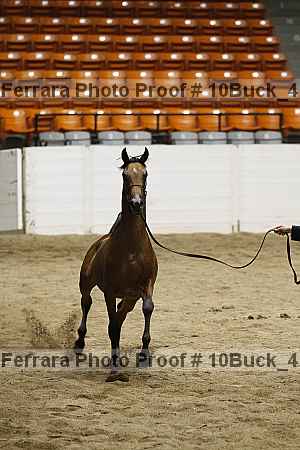 Proof Number 10buck_4140
