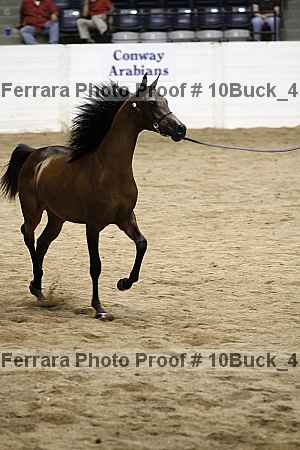 Proof Number 10buck_4144