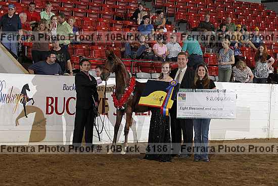 Proof Number 10buck_4186