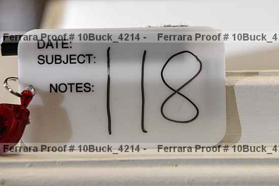 Proof Number 10buck_4214