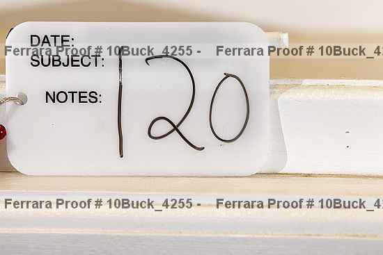 Proof Number 10buck_4255