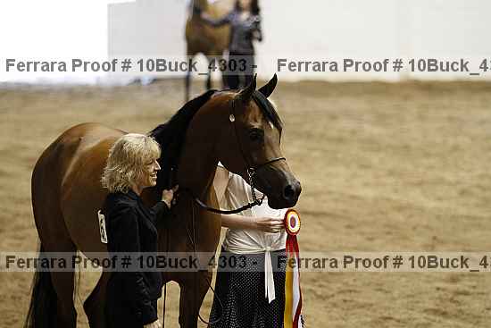 Proof Number 10buck_4303