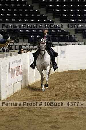 Proof Number 10buck_4377