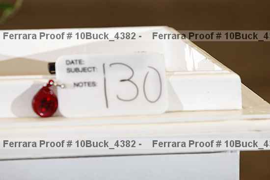 Proof Number 10buck_4382