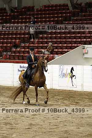 Proof Number 10buck_4399