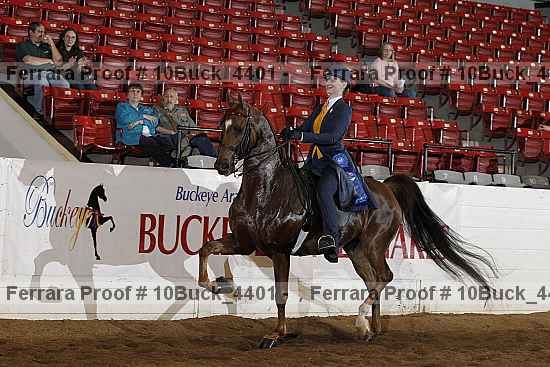 Proof Number 10buck_4401