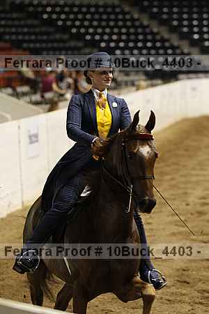 Proof Number 10buck_4403