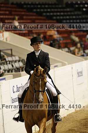 Proof Number 10buck_4410
