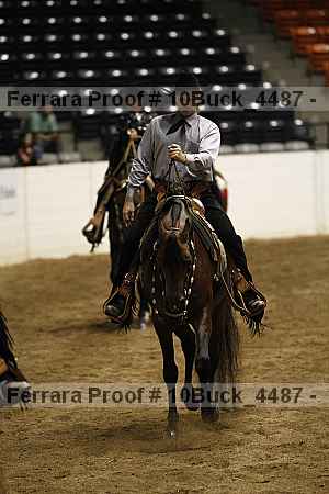 Proof Number 10buck_4487