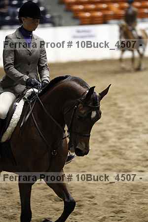 Proof Number 10buck_4507