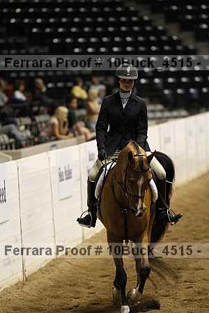 Proof Number 10buck_4515