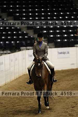 Proof Number 10buck_4518