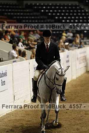 Proof Number 10buck_4557