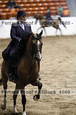 Proof Number 10buck_4660