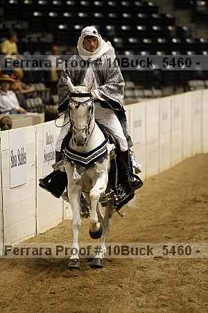 Proof Number 10buck_5460