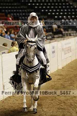 Proof Number 10buck_5467