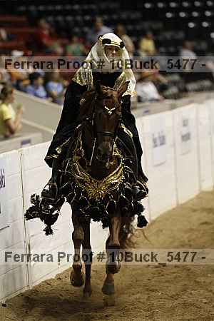 Proof Number 10buck_5477