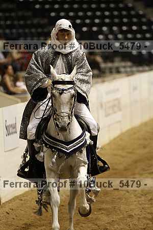 Proof Number 10buck_5479