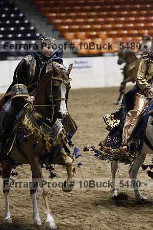 Proof Number 10buck_5480