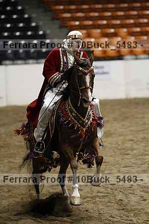 Proof Number 10buck_5483