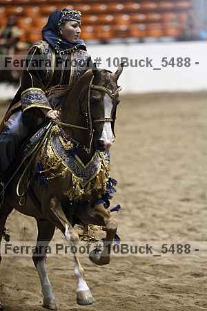 Proof Number 10buck_5488