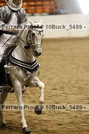Proof Number 10buck_5489