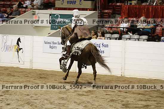 Proof Number 10buck_5502