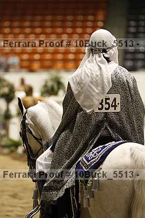 Proof Number 10buck_5513
