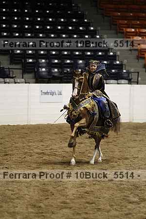 Proof Number 10buck_5514