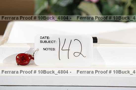 Proof Number 10buck_4804