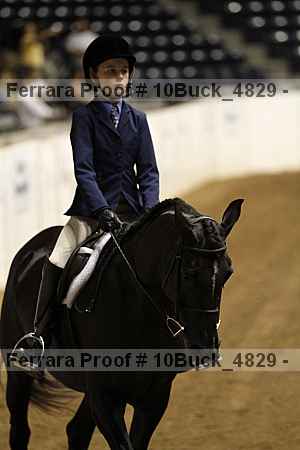 Proof Number 10buck_4829