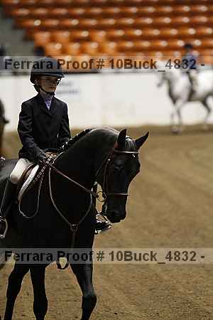 Proof Number 10buck_4832