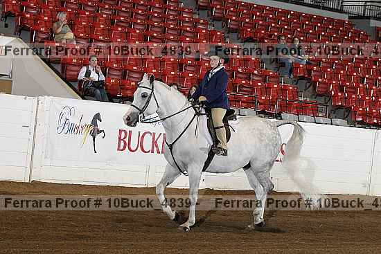 Proof Number 10buck_4839