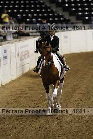 Proof Number 10buck_4841