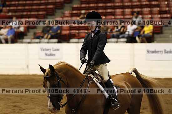 Proof Number 10buck_4848